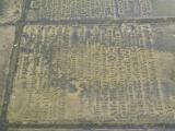 image of grave number 956682